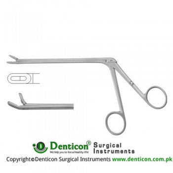 Leminectomy Rongeur Up - Fenestrated and Serrated Jaws Stainless Steel, 15.5 cm - 6" Bite Size 5 x 14 mm 